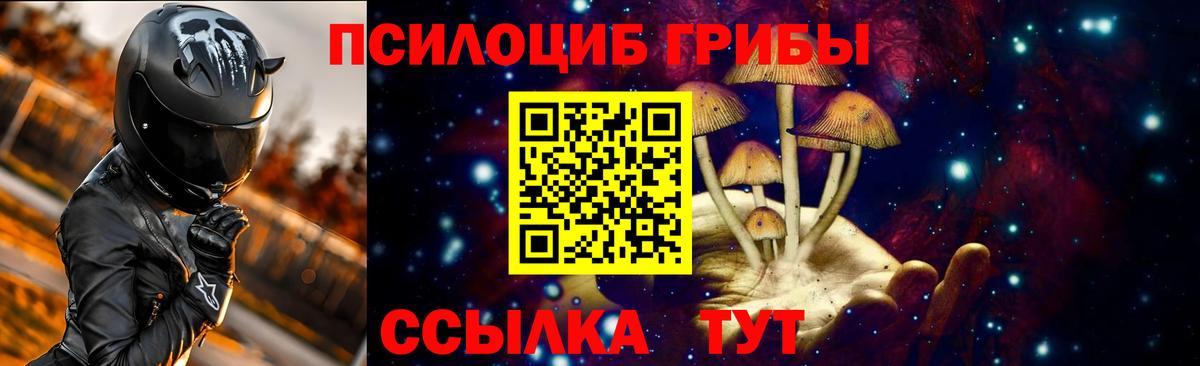 Галлюциногенные грибы Magic Shrooms Междуреченск